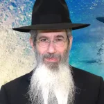 Rabbi Dovid Goldwasser