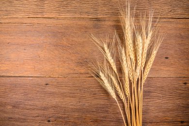 Omer Period Laws: Q&A on Weddings, Music, Haircuts and More