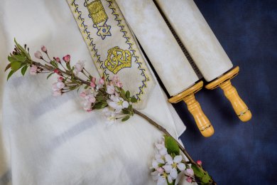The Deeper Meaning of the Omer Days and Preparing to Receive the Torah