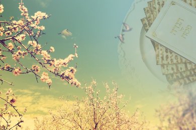 What Is True Freedom in Judaism? The Spiritual Meaning of Passover and Inner Liberation