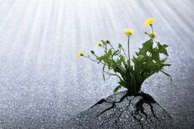 Day 28 of the Omer: Finding Inner Strength, Focus, and Self-Mastery
