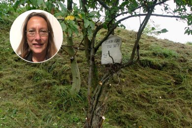 Approaching the Tenth of Tevet: An Unprecedented Project to Document Mass Graves in Poland
