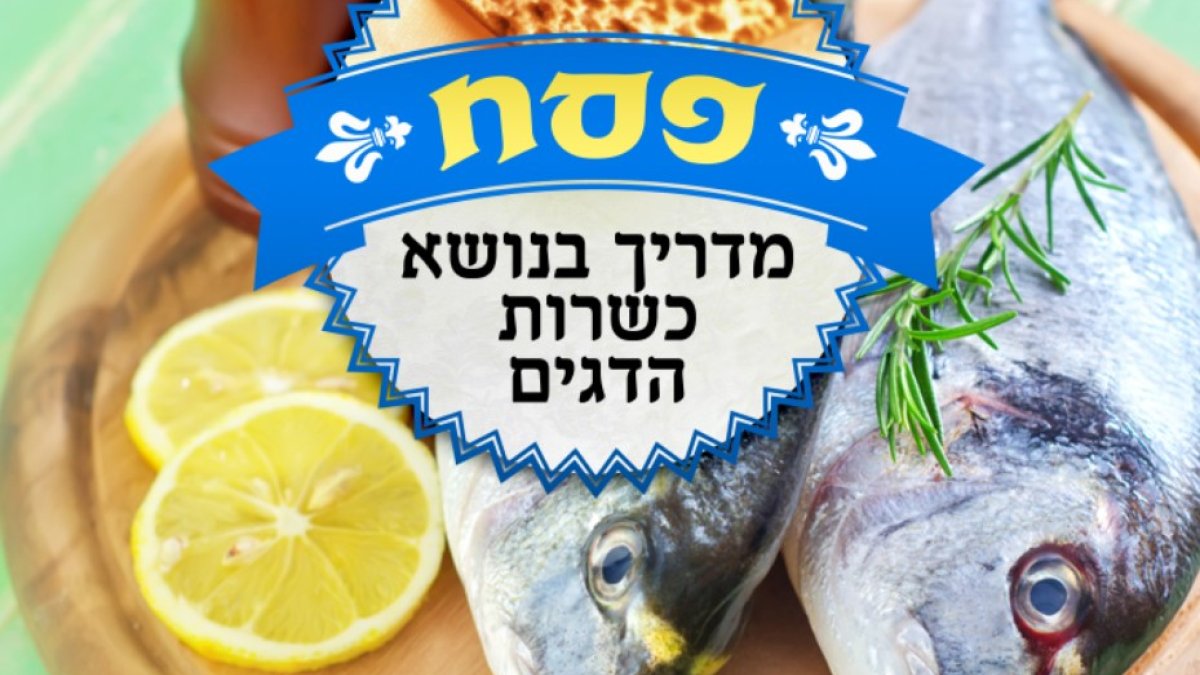 Jewdish Fish Kosher Fish Guide: How to Avoid Parasites and Choose Fish With Reliable ...