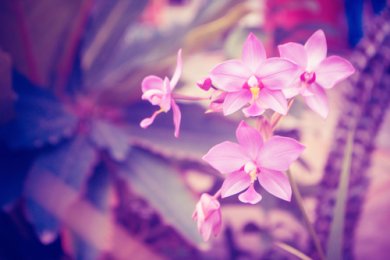 The Fast of Esther: A Powerful Kabbalistic Practice for Miracles and Divine Mercy