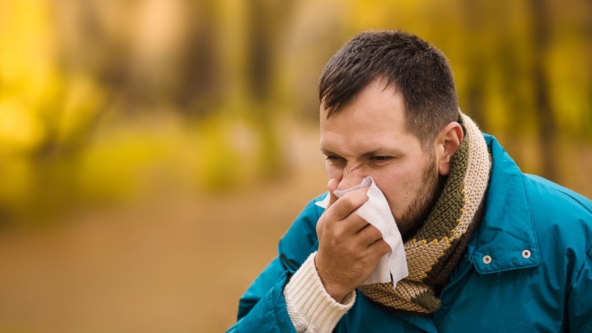 Already Caught a Cold? Here's How You Can Reduce Your Seasonal Allergy ...