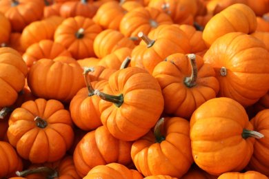 All You Wanted to Know About Pumpkin, a Rosh Hashanah Symbol