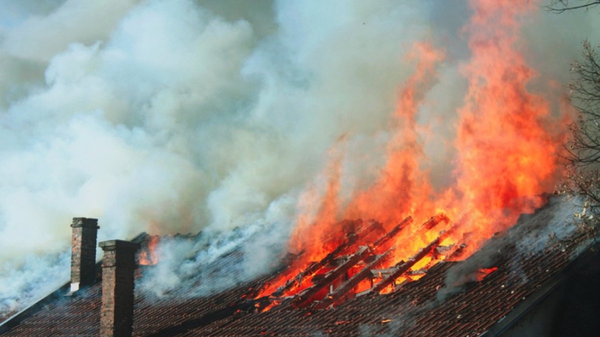 Shamis Fire Miracles in the Flames: Haifa Survivors See Hashem’s Hand - Hidabroot