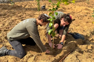 A Global Effort: Planting Trees Beyond Tu Bishvat