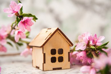 Spring is Here: 10 Budget-Friendly Ideas to Refresh Your Home for Passover