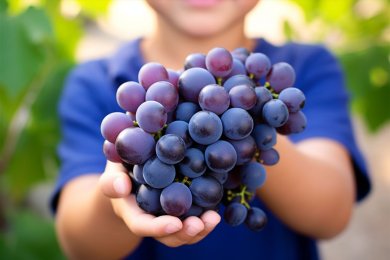 The Vine in the Bible: 5 Fascinating Facts About Grapes, Wine, and Spiritual Abundance