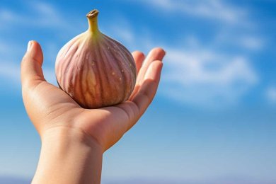 Why Figs Deserve a Comeback: The Surprising Health Benefits of This Delicious Fruit