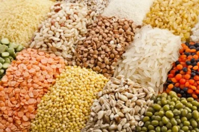 Passover and Kitniyot: Dr. Maya Roseman's Carb Guide
