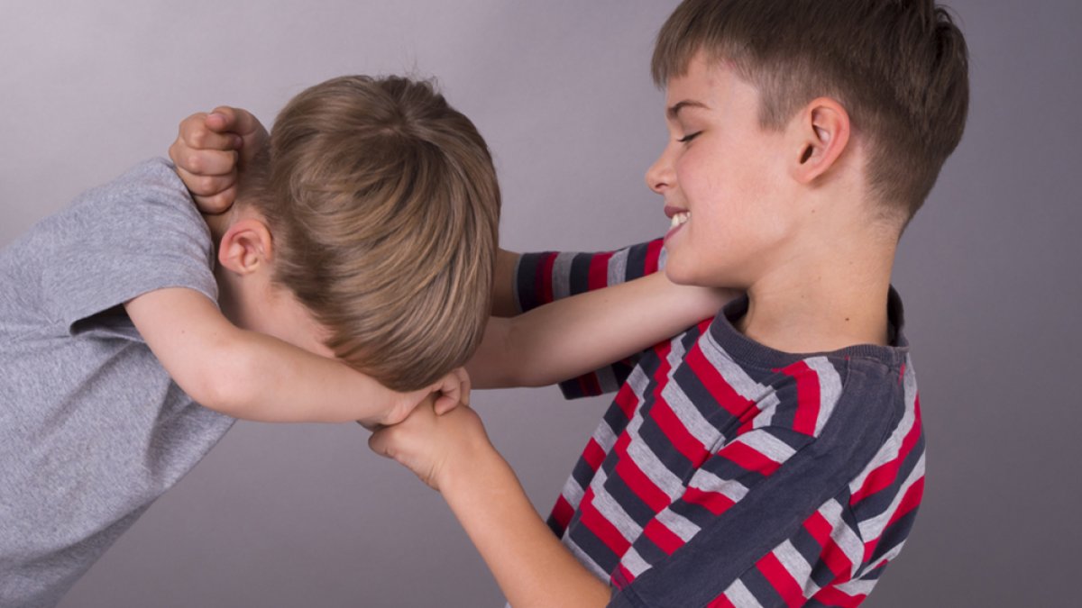 Toching Kids Sibling Rivalry: Why Do Kids Tease Each Other and How to Stop It ...