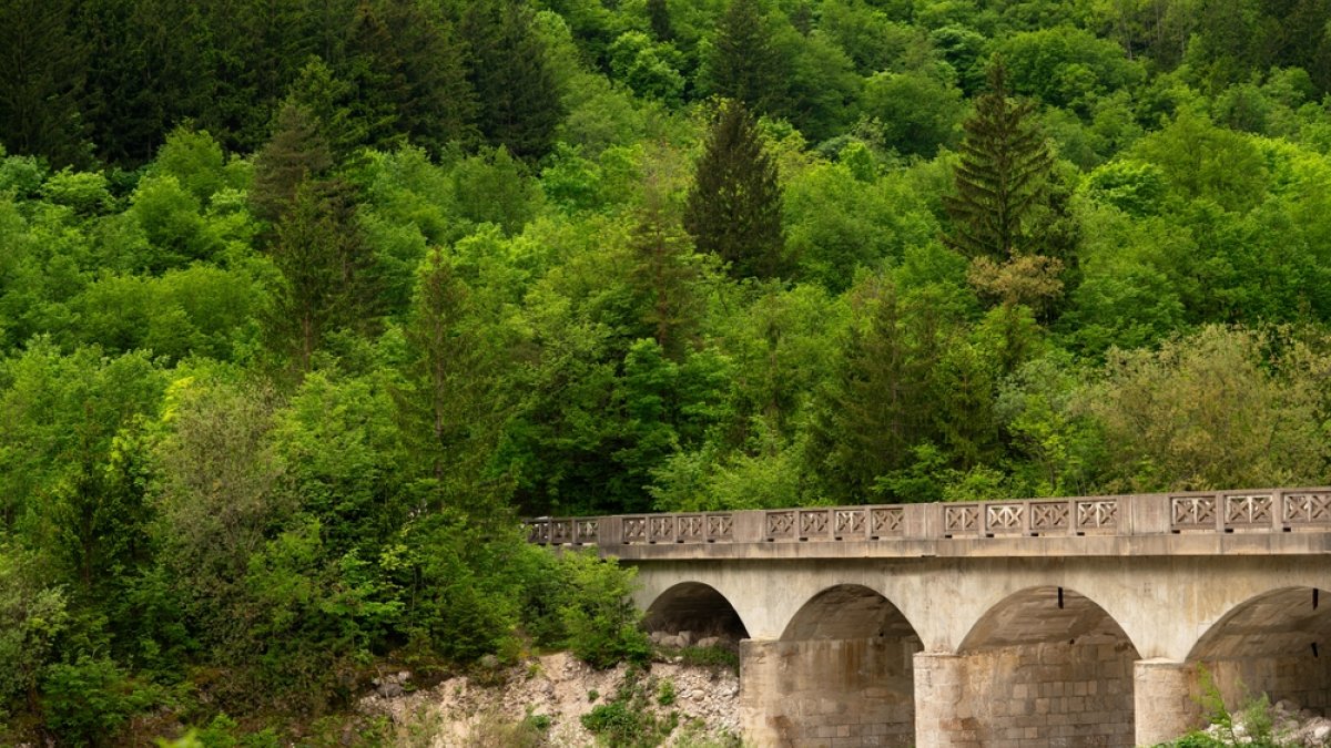 Halom Discovering the Untold Story of the 'Ad Halom' Bridge - Hidabroot