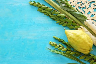 The Arba Minim: The Four Species of Sukkot