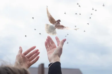 What Does It Mean to Be Written and Sealed in the Book of Life?