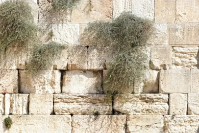 How to Prepare for Tisha B'Av: Practical Tips for an Easier Fast