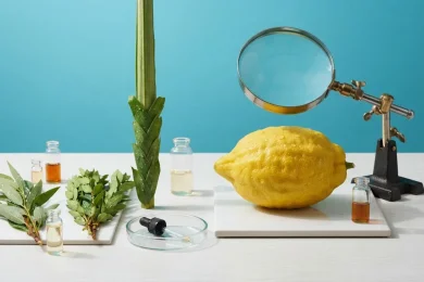 From Etrog to Willow: The Surprising Science Inside the Four Species