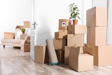 Spring Cleaning for the Heart: A Fresh Start Before Pesach