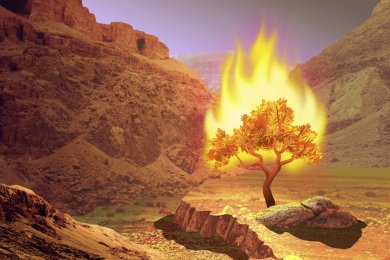 From the Burning Bush to Mount Sinai: The Meaning of Freedom