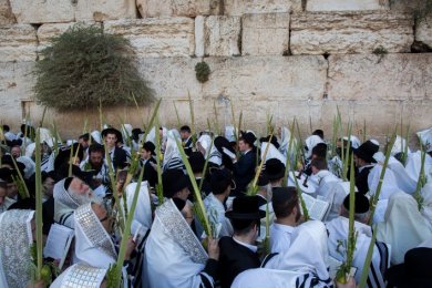 Chol HaMoed Laws Guide: Work, Clothing, Music, and Daily Halacha