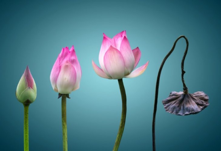 The Passing of the Righteous: Why the Final Day Is a Spiritual ...