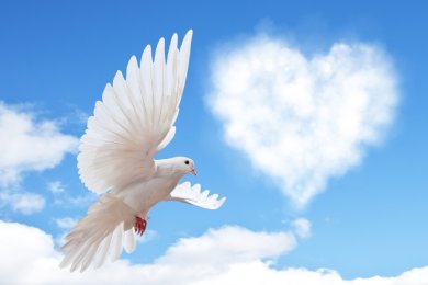 Tu B'Av: The Hidden Power of the Jewish Festival of Love and New Beginnings