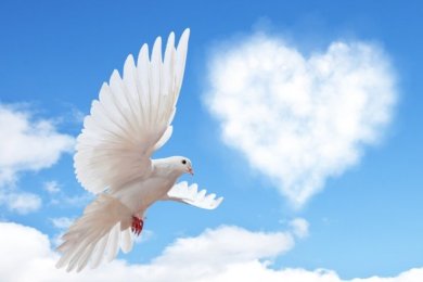 Why We Celebrate Tu B'Av: The Jewish Holiday of Love