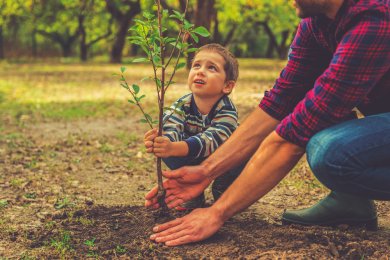 When Growth Is Invisible: Parenting Lessons From the New Year for Trees