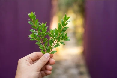 Two Myrtle Branches and the Secret to Stronger Relationships