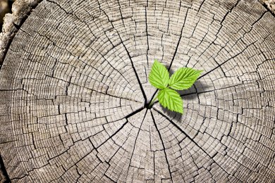 Cleaning for Pesach, Cleansing the Heart: A Spiritual Journey from Stress to Inner Renewal
