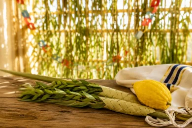 The Power of Sukkot: 13 Blessings Hidden in Its Mitzvot