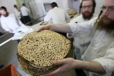 Which Matzah Do You Need for the Seder? A Practical Guide