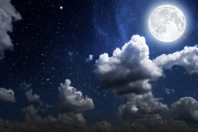 The Pesach Sacrifice and the Plague of the Firstborn: The Night of Redemption