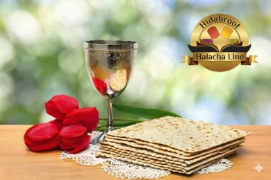 Which Products Need Kosher for Passover Certification?
