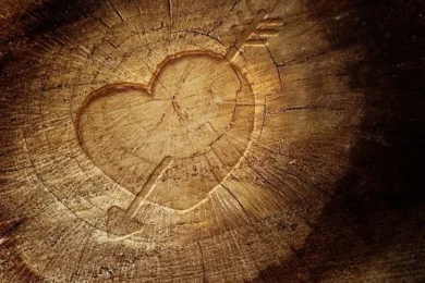 The True Meaning of Tu B'Av: Unity and Forgiveness