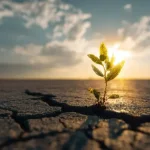 Messiah & Redemption