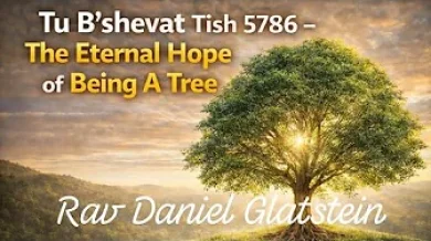 Tu B'Shevat: The Tree Always Has Hope