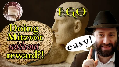 Your 'self' was not created FOR YOU (why that's a relief!)