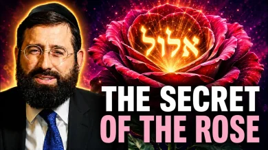 The Secret of Elul: Torah, Mercy, and “Ani L’Dodi”