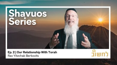 Our Relationship With Torah