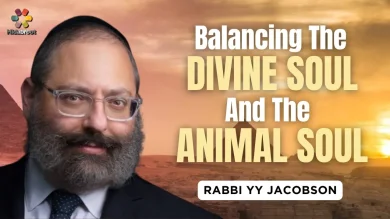 Passover: Balancing The DIVINE SOUL And The ANIMAL SOUL