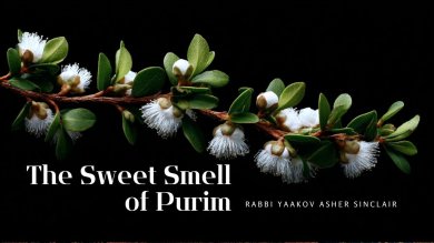 Purim's Hidden Secret: The Spiritual Power of the Sense of Smell