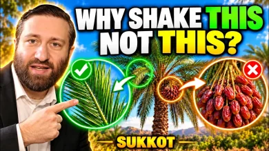 Why We Shake the Lulav: Bringing Sukkot’s Joy Into Our Lives