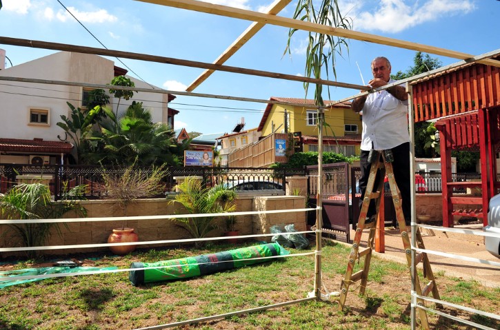 Building a sukkah frame before laying the s'chach. Photo: Flash90
