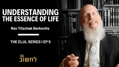Understanding The Essence Of Life