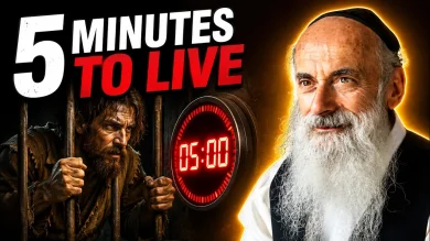 The King and the Mountain Man: A Powerful Elul Parable