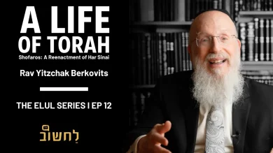 The Shofar’s Call: From Overwhelm to New Life