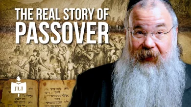 Why We Retell the Exodus: Identity, Growth, and Redemption