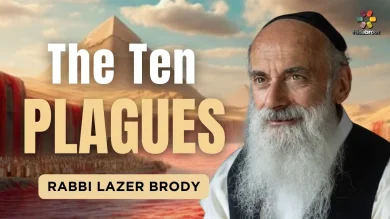 The Story of Passover: Part 2 - The Ten Plagues of Egypt